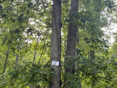 19 Buck Creek Cir, Somerset, KY 42501