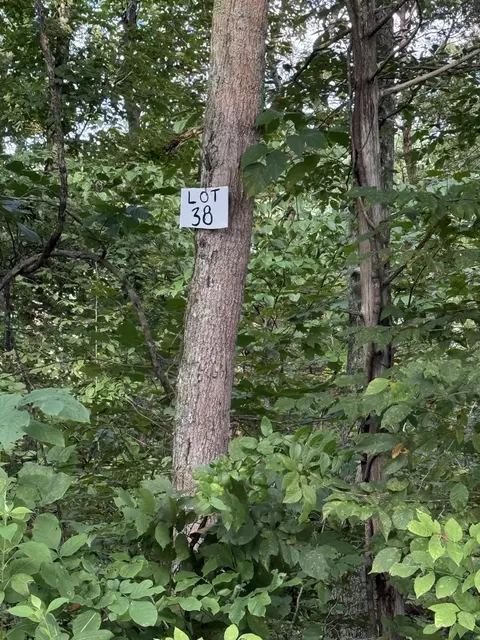 38 Buck Creek Cir, Somerset, KY 42501