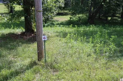 lot45 Doe Valley Dr, Benton, KY 42025