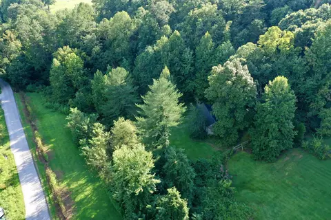 View/Area - 335 Smallwood Rd, Stanton, KY 40380 photo 7 of 7