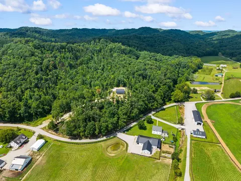 View/Area - 2610 E Fork Rd, Means, KY 40346 photo 4 of 9