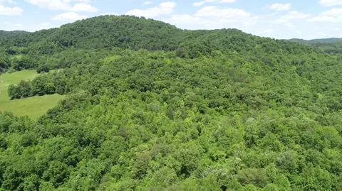Other - 00 Sutton Mill Rd, Williamsburg, KY 40769 photo 3 of 11