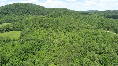 View/Area - 00 Sutton Mill Rd, Williamsburg, KY 40769 photo 6 of 12