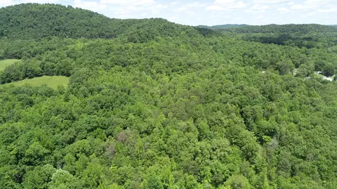 View/Area - 00 Sutton Mill Rd, Williamsburg, KY 40769 photo 5 of 12