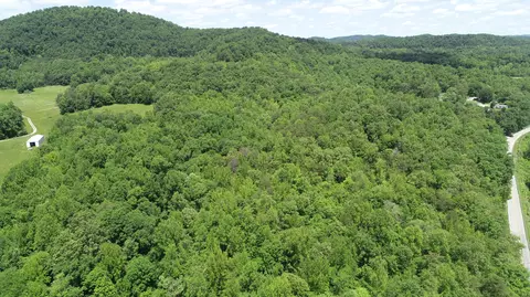 View/Area - 00 Sutton Mill Rd, Williamsburg, KY 40769 photo 4 of 12