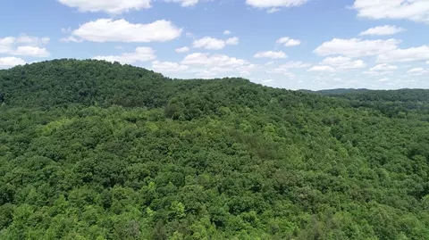 Other - 00 Sutton Mill Rd, Williamsburg, KY 40769 photo 2 of 11