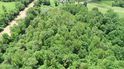 View/Area - 00 Sutton Mill Rd, Williamsburg, KY 40769 photo 11 of 12