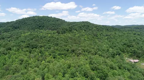 View/Area - 00 Sutton Mill Rd, Williamsburg, KY 40769 photo 7 of 12