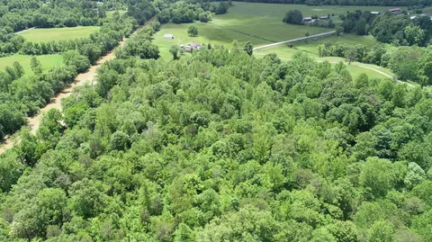 View/Area - 00 Sutton Mill Rd, Williamsburg, KY 40769 photo 10 of 12