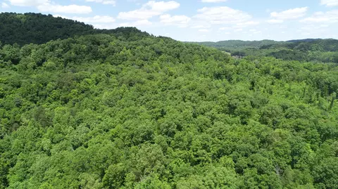 Other - 00 Sutton Mill Rd, Williamsburg, KY 40769 photo 9 of 11