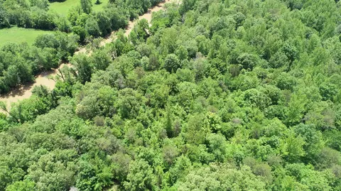 Other - 00 Sutton Mill Rd, Williamsburg, KY 40769 photo 4 of 11