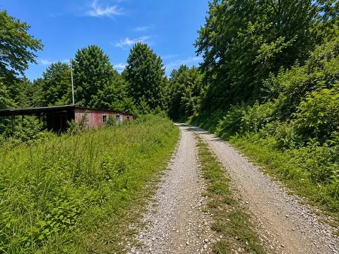 3066 Big Willard Rd, Busy, KY 41723