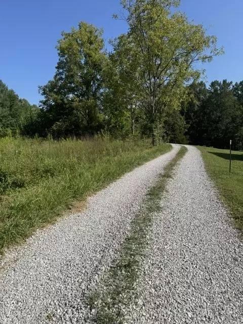 358 Tom Taylor Rd, Corbin, KY 40701 photo 6