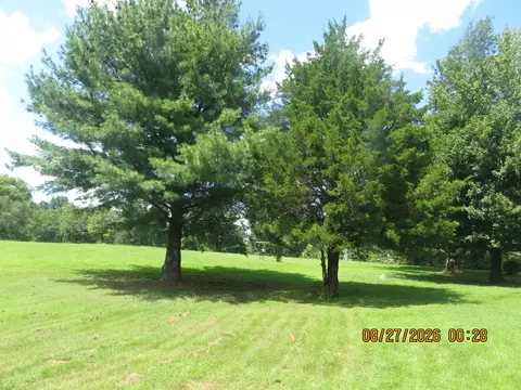 Exterior - 600 E Blanks Rd, Wickliffe, KY 42087 photo 9 of 21