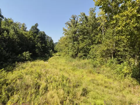 5409 5409 State Highway 599, Jeffersonville, KY 40337