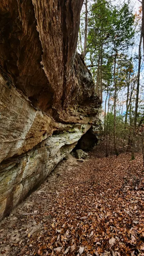 3101 Hazel Patch Rd, East Bernstadt, KY 40729