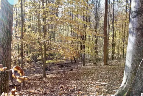 lot S 27e - 32e Parkersville Rd, Eddyville, KY 42038