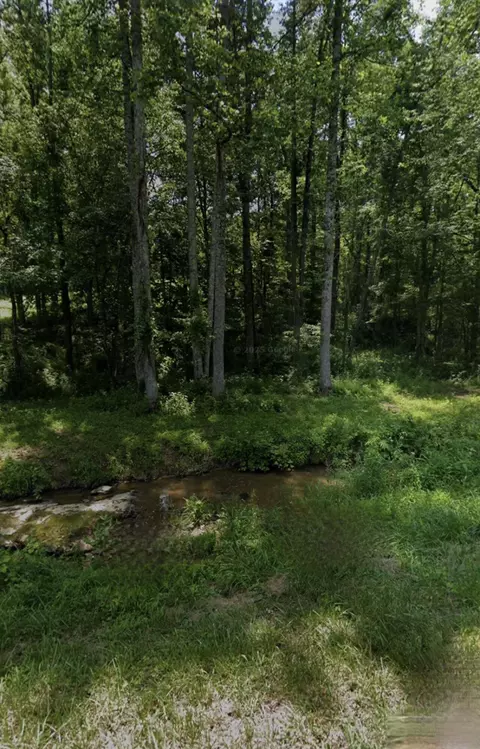 32 Coon Creek Rd, Wellington, KY 40387