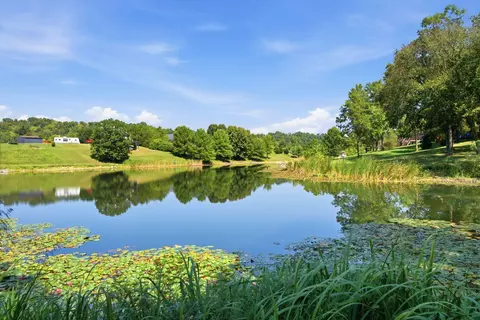 View/Area - 556 Cedar Lk, Ewing, KY 41039 photo 1 of 1