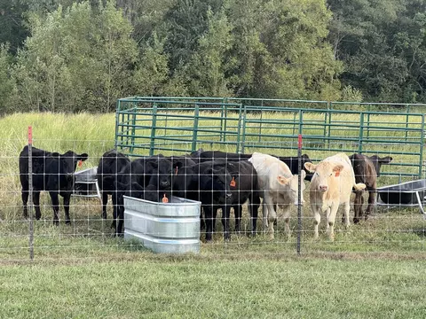 Other - 761 Texas Loop Rd, Springfield, KY 40069 photo 3 of 6