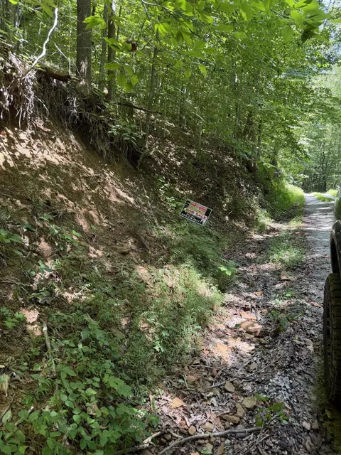 370 Roaring Fork Rd, Walker, KY 40997 photo 13