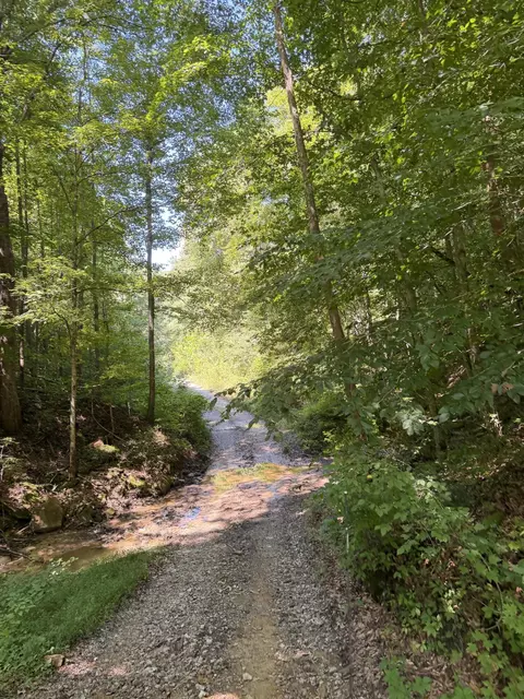 370 Roaring Fork Rd, Walker, KY 40997 photo 11
