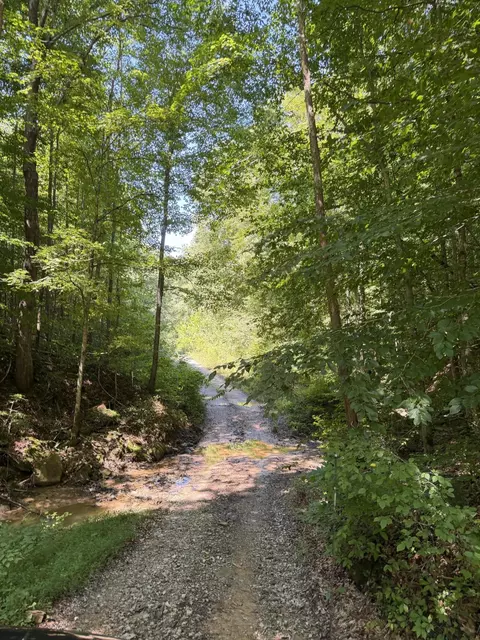 370 Roaring Fork Rd, Walker, KY 40997 photo 12