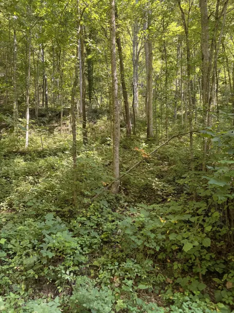 370 Roaring Fork Rd, Walker, KY 40997 photo 8
