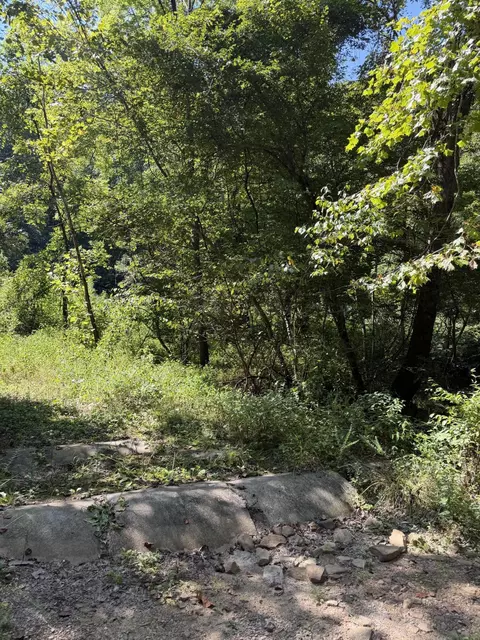 370 Roaring Fork Rd, Walker, KY 40997 photo 4