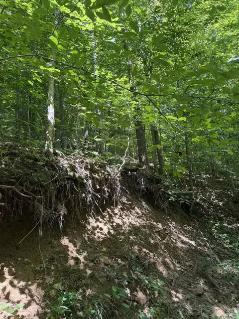 370 Roaring Fork Rd, Walker, KY 40997 photo 14