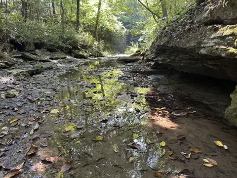 Other - 698 Ben Thompson Rd, Eubank, KY 42567 photo 33 of 42