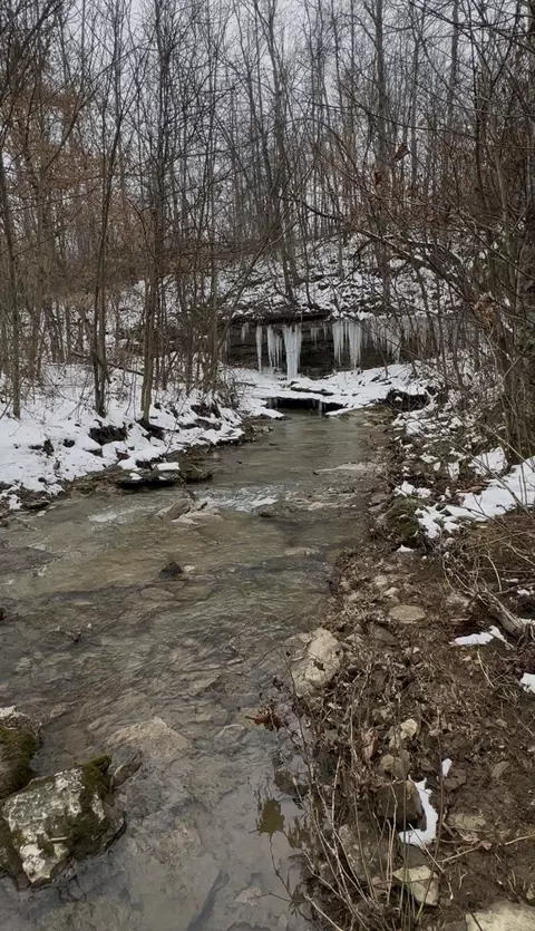 Other - 698 Ben Thompson Rd, Eubank, KY 42567 photo 38 of 42