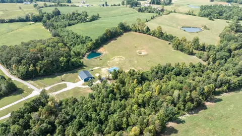 View/Area - 698 Ben Thompson Rd, Eubank, KY 42567 photo 3 of 10