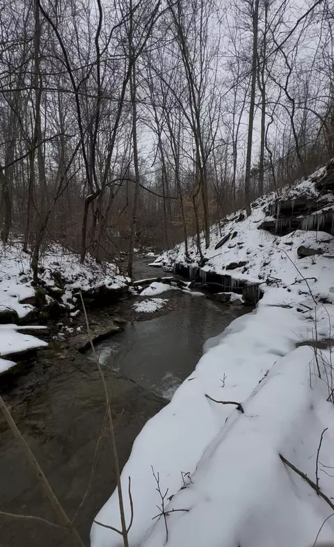 Other - 698 Ben Thompson Rd, Eubank, KY 42567 photo 41 of 42