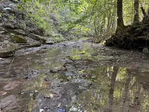 Other - 698 Ben Thompson Rd, Eubank, KY 42567 photo 31 of 42