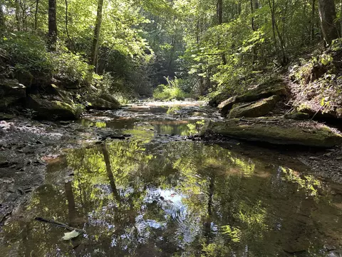 Other - 698 Ben Thompson Rd, Eubank, KY 42567 photo 36 of 42