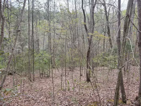 lot35 Lot 36 Boulder Dr, London, KY 40741