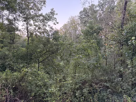 0000 Mountain View Rd, Williamsburg, KY 40769 photo 5