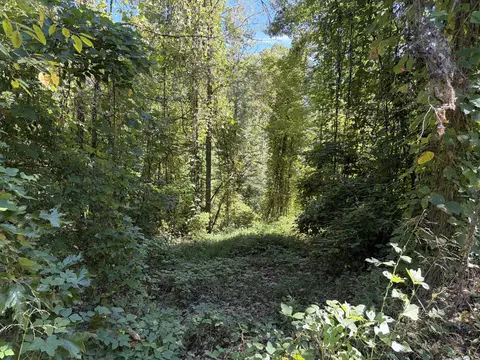 0000 Mountain View Rd, Williamsburg, KY 40769 photo 4
