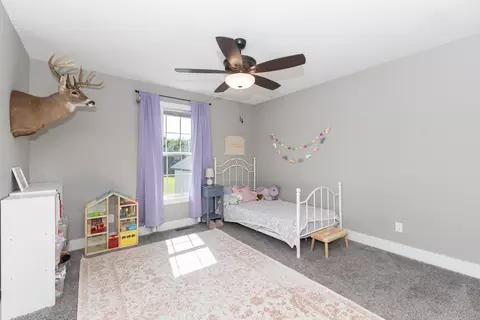 Other - 220 John Purdom Dr, Almo, KY 42020 photo 4 of 7