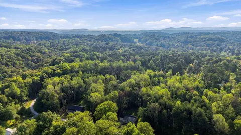 View/Area - 221 Pine Tree Circle Dr, Nancy, KY 42544 photo 3 of 3