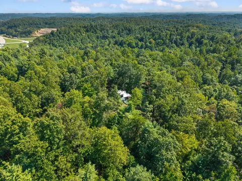 View/Area - 258 Black Bear Ridge Rd, Campton, KY 41301 photo 3 of 7