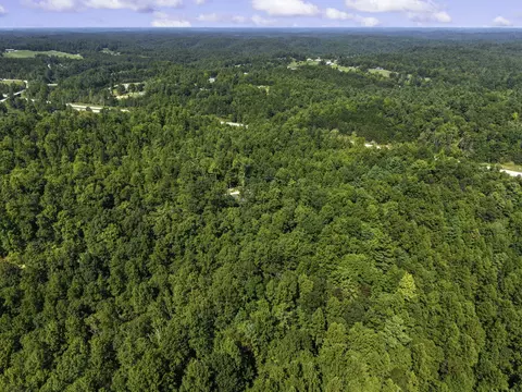 View/Area - 258 Black Bear Ridge Rd, Campton, KY 41301 photo 4 of 7