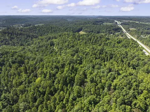 View/Area - 258 Black Bear Ridge Rd, Campton, KY 41301 photo 5 of 7