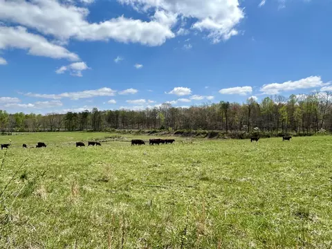 Other - 428 Dick Wilson Rd, Strunk, KY 42649 photo 3 of 6