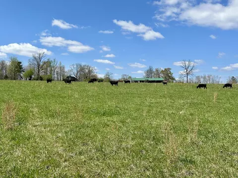 Other - 428 Dick Wilson Rd, Strunk, KY 42649 photo 2 of 6