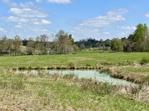 View/Area - 428 Dick Wilson Rd, Strunk, KY 42649 photo 2 of 6