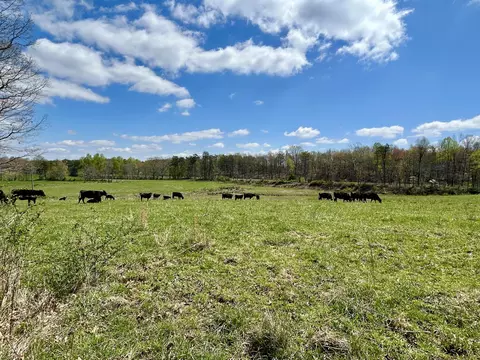 Other - 428 Dick Wilson Rd, Strunk, KY 42649 photo 5 of 6