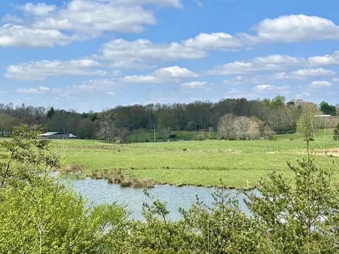 View/Area - 428 Dick Wilson Rd, Strunk, KY 42649 photo 4 of 6