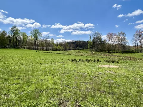 Other - 428 Dick Wilson Rd, Strunk, KY 42649 photo 1 of 6